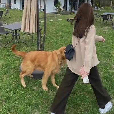 纳粹女特工